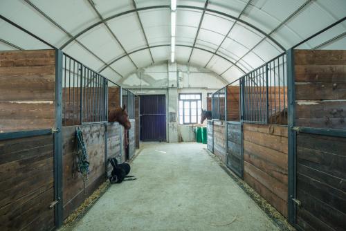 an inside view of a barn with a horse in it at Fattoria Didattica La Collina Incantata in Narni