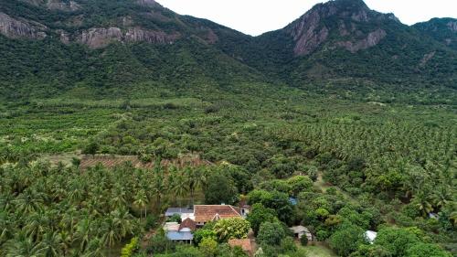 an aerial view of a mountain with a house and trees at Pannadikadu Homestay in Sethumadai