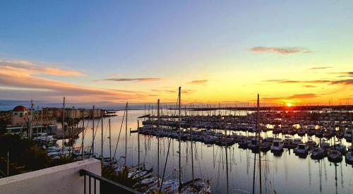 un groupe de bateaux amarrés dans une marina au coucher du soleil dans l'établissement - L'Horizon Bleu - Cocon romantique avec vue mer panoramique, à Gruissan