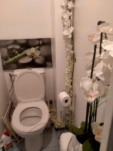 une salle de bain avec toilettes et un tableau au mur dans l'établissement Court séjour à Paris 2mn de métro, à Villejuif