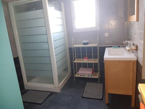 une salle de bain avec douche et lavabo dans l'établissement Maison proche du Circuit des 24h, à Ruaudin