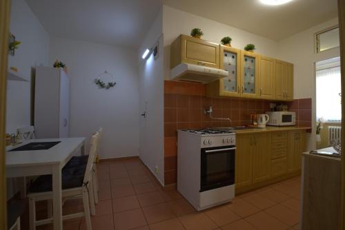 Kuchyň nebo kuchyňský kout v ubytování Apartmán Camilla