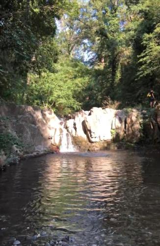 a river with a waterfall in front of some trees at La Casa di Lea in Santa Fiora