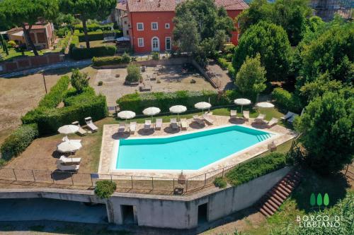 an overhead view of a swimming pool with chairs and umbrellas at Sweet Hills in Libbiano