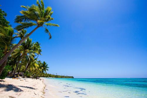 a beach with palm trees and the ocean at Plantation Island Resort in Malolo Lailai