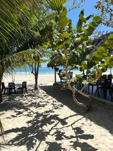 a group of chairs and trees on the beach at Robinson Beach Bungalow in Vinh Hoa