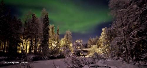 an aurora in the sky with trees and a bridge at LevinPesä Chalet in Levi