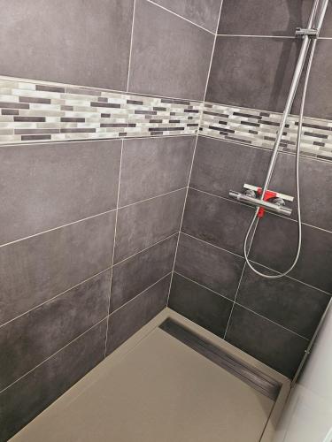 une salle de bain avec douche aux carreaux gris dans l'établissement Appartement avec Parking Centre Ville Mulhouse, à Mulhouse