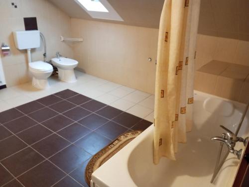 a bathroom with a bath tub and a toilet at Casa Dorin Capacitate Autocar in Borşa