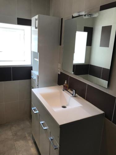 une salle de bain avec un lavabo et un miroir dans l'établissement Maison Gite des Belles Demois Ailes, à Cour-Cheverny