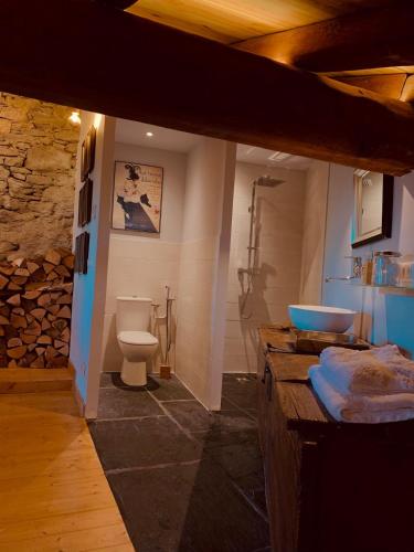 une salle de bain avec toilettes et lavabo dans l'établissement L'Agneau Rouge - Charmant appartement avec terrasse, à Séez