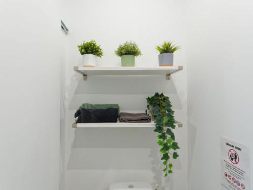 une étagère avec des plantes en pot dans une salle de bains dans l'établissement Studio avec jardinet, à Martigues