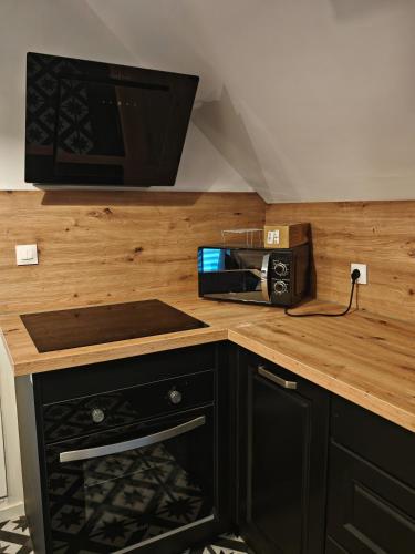 une cuisine avec un comptoir avec un micro-ondes dans l'établissement Chambre 1 dans appartement partagé proche de Strasbourg, à Wasselonne