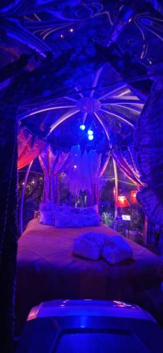 Кровать или кровати в номере Sky Room - Carrara Bubble Room Tuscany Nel ex Convento delle Suore
