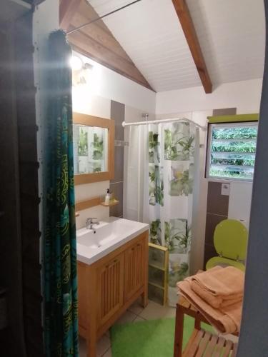 a bathroom with a sink and a shower at Le ptit paradis créole in Sainte-Rose