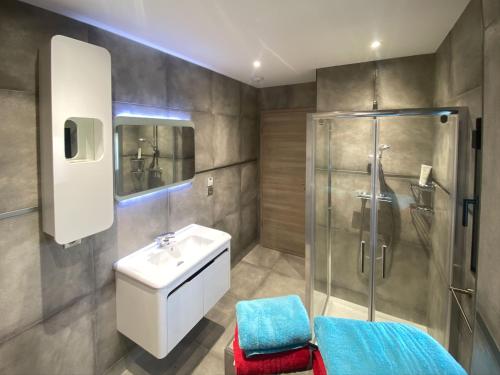 une salle de bain avec un lavabo et une douche dans l'établissement La Chambre aux Bouteilles - Domaine GUETH - Vins d'Alsace et oenotourisme, à Gueberschwihr