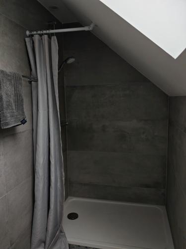 une salle de bain avec une douche avec un rideau de douche dans l'établissement Chambre 1 dans appartement partagé proche de Strasbourg, à Wasselonne
