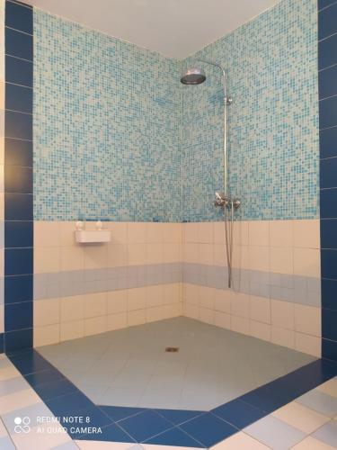 une salle de bain avec douche aux carreaux bleus dans l'établissement Terra Médiane, à Serres-sur-Arget