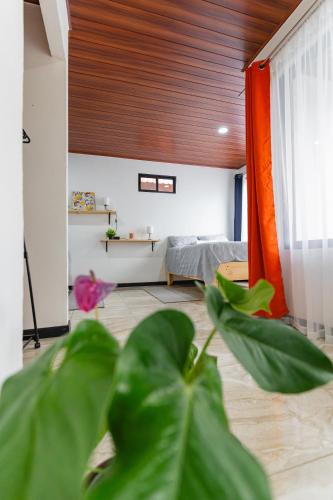 Posezení v ubytování Cabu House 1