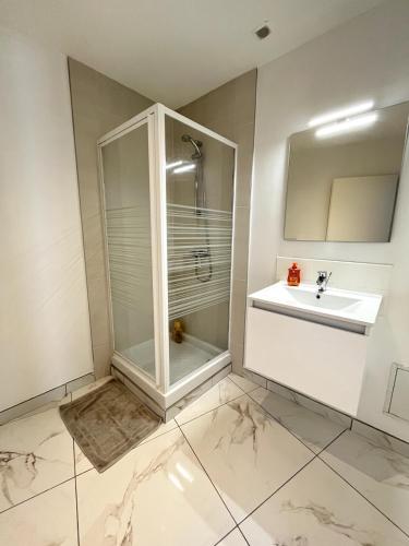 une salle de bain avec douche et lavabo dans l'établissement Luna - Moon 201 - Romans, à Romans-sur-Isère
