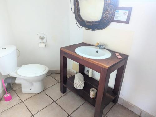 ディエゴ・スアレスにあるLe Mahanaの洗面台とトイレ付きのバスルーム