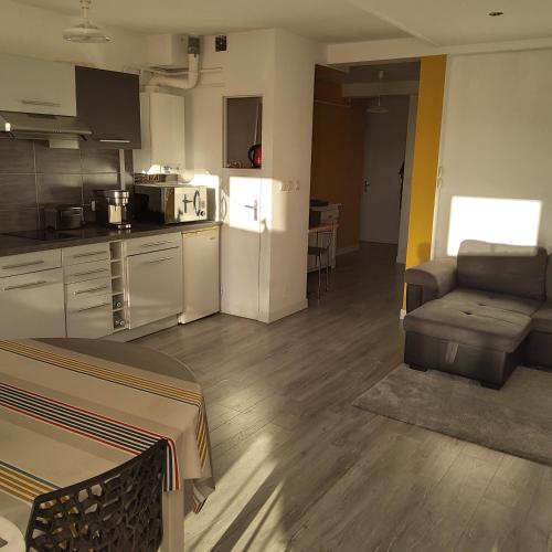 Il dispose d'une cuisine et d'un salon avec un canapé et un réfrigérateur. dans l'établissement Appartement T2, à Albi