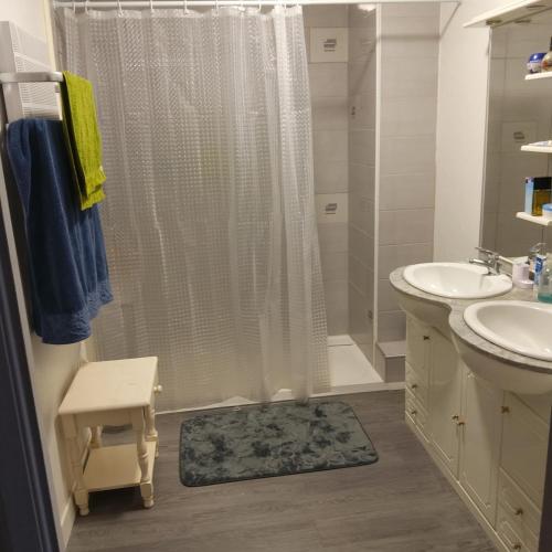 une salle de bain avec un lavabo et une douche dans l'établissement Appartement T2, à Albi