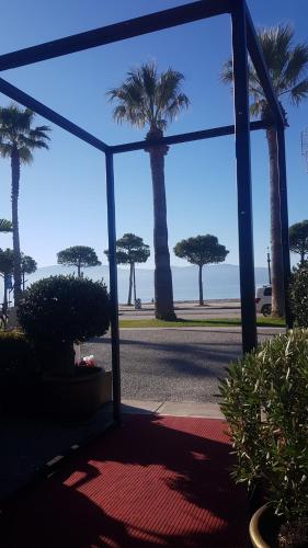 South Coast Apartments AL