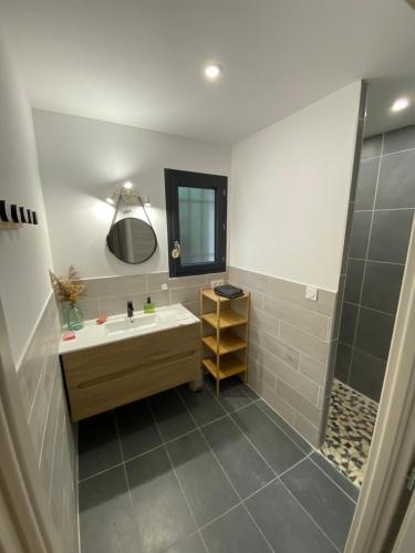 une salle de bain avec un lavabo, un miroir et une douche dans l'établissement Appartement en campagne, à Saint-Marcel-de-Carreiret