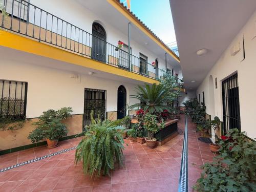 Ático dúplex en el centro de Sevilla