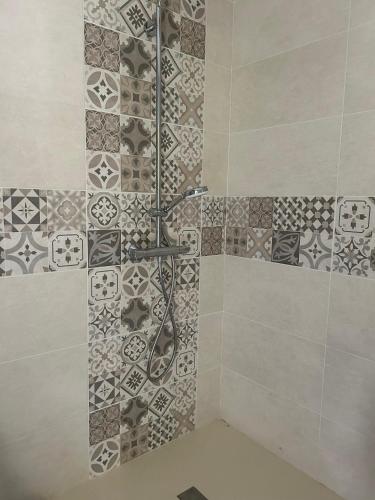 une douche dans une salle de bain avec un mur carrelé dans l'établissement La petite maison des MADELEINE de GIEVRES, à Gièvres