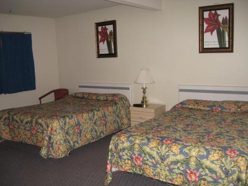 ein Hotelzimmer mit 2 Betten und einer Lampe in der Unterkunft Pals Motel and RV Park in Medicine Hat