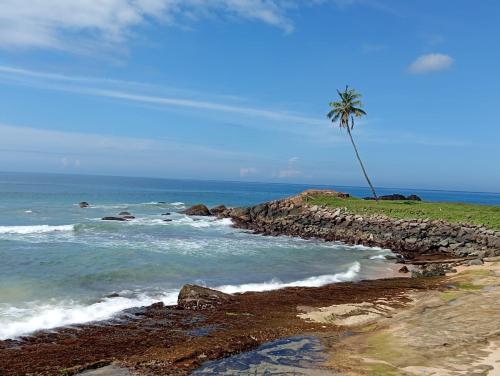 Příroda nedaleko ubytování v soukromí