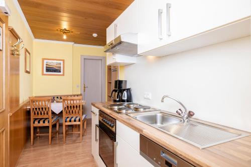 a kitchen with a sink and a counter top at Aparthotel Landhaus St. Joseph (Indoor Pool) in Mayrhofen