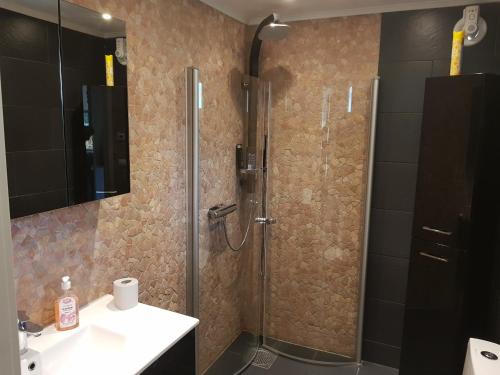 a bathroom with a shower with a sink and a toilet at Motel E4 Kolmården Apartments And Cottages in Kolmården