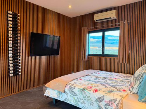 une chambre avec un lit, une télévision et une fenêtre dans l'établissement L'Inattendue - Domaine GUETH - Vins d'Alsace et oenotourisme, à Gueberschwihr