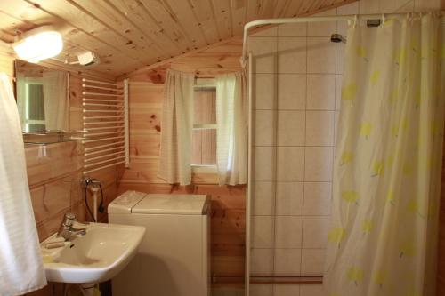 KalmariにあるTähdikki Cottageのバスルーム(シンク、シャワーカーテン付)