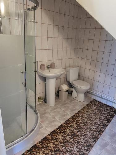 a bathroom with a toilet and a sink and a shower at Sodyba - Antalieptės marios in Zarasai