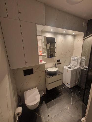 a bathroom with a toilet and a sink at Apartament Spokojny Czas in Wisła