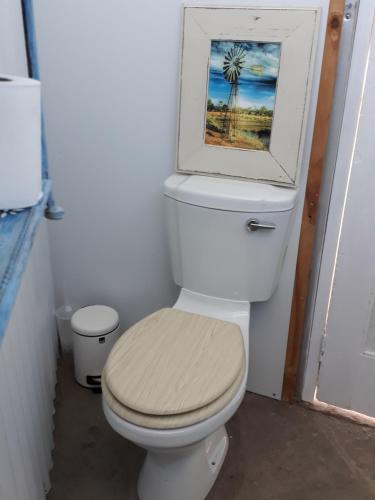 a bathroom with a toilet with a picture on top of it at Dopper Joris Bruidswa Adam se Uitspanning in Orania