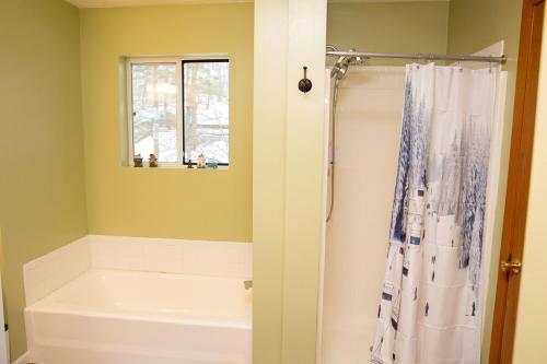 a bathroom with a shower with a shower curtain at Eagles Mountain Retreat in Somerset