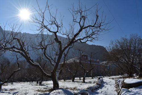a tree in the snow with the sun behind it at Areni Lodge in Areni