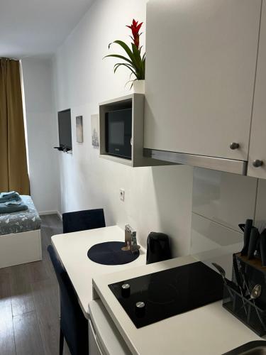 Η κουζίνα ή μικρή κουζίνα στο City center Apartment 6 apartman HEBRANGOVA