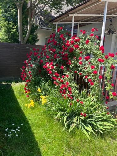 a garden of flowers in front of a house at Francesco Apartmanház in Velence