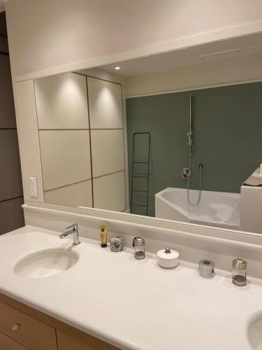 une salle de bain avec un lavabo et un grand miroir dans l'établissement Vaste et Bel Appartement en plein Centre-ville de Montpellier, à Montpellier