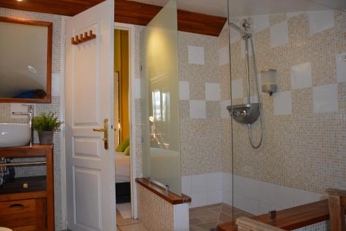 een badkamer met een douche en een wastafel bij Le Mas des Aludes in La Destrousse