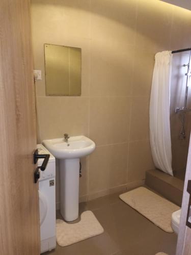 Koupelna v ubytování C O Apartment
