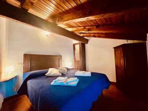 a bedroom with a blue bed with towels on it at Agriturismo Montagna Verde Apella in Licciana Nardi