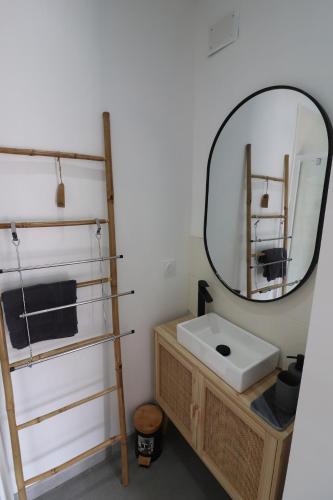 une salle de bain avec un lavabo et un miroir dans l'établissement Gîte cosy aux portes de Sarlat, à Carsac-Aillac