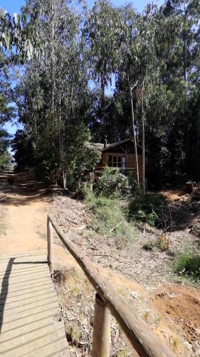 a wooden boardwalk leading to a house in the woods at Cabanas Curi-Huapi in Isla Negra